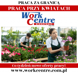 Uprawa i pielęgnacja kwiatów Oferta pracy w Holandii Uprawa i pielęgnacja kwiatów Oferta pracy w Holandii