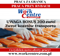 Pakowanie ryb Oferta pracy w Holandii - BONUS 200€ Pakowanie ryb Oferta pracy w Holandii - BONUS 200€