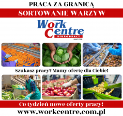 Sortowanie Warzyw Oferta pracy w Holandii Sortowanie Warzyw Oferta pracy w Holandii