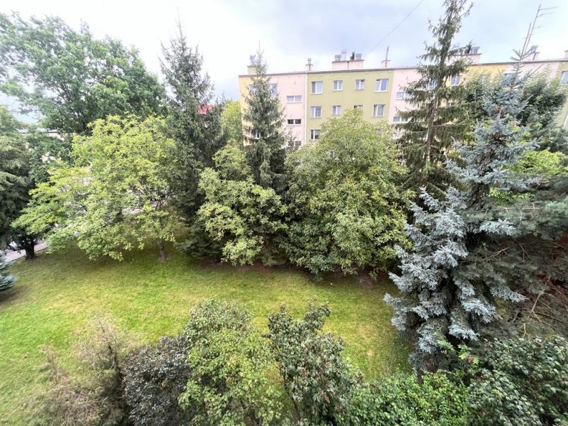 Jasne mieszkanie 48m2, świeżo po remoncie - zdjęcie 7