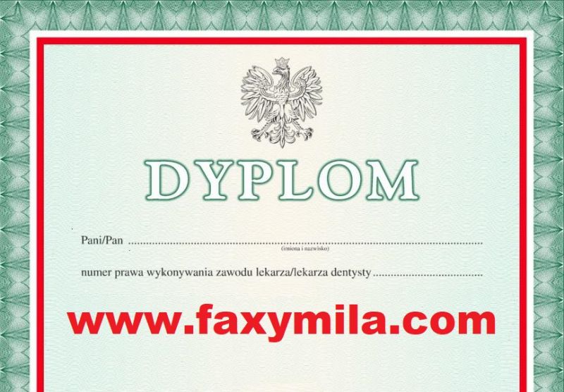 Oferuje Dyplomy uniwersytetów, świadectwa, dyplomy, szkoły. - zdjęcie 1