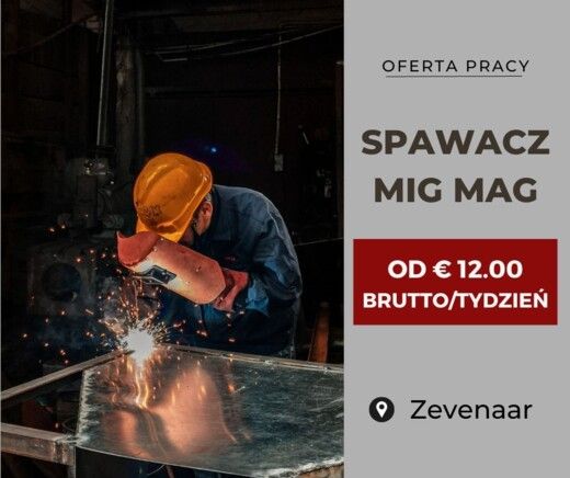 Praca w Holandii od Zaraz  - zdjęcie 1