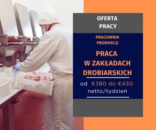 Praca w Holandii od Zaraz  - zdjęcie 5