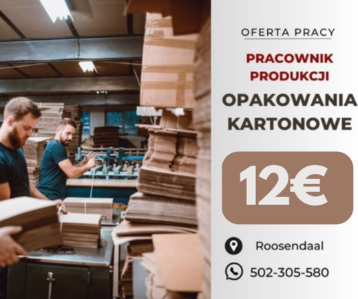 Praca w Holandii od Zaraz  - zdjęcie 4