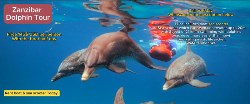 Zanzibar Pływanie z Delfinami Wycieczka Safari Tanzania Blue Wycieczka - zdjęcie 1