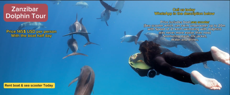 Zanzibar Pływanie z Delfinami Wycieczka Safari Tanzania Blue Wycieczka - zdjęcie 2