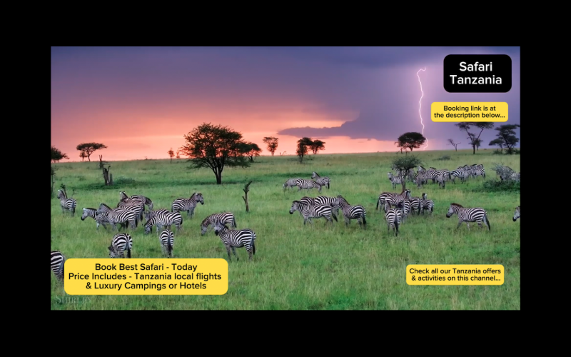 Wycieczki Safari Tanzania Srengeti Mikumi Safari w Tanzanii Luksusowe - zdjęcie 2