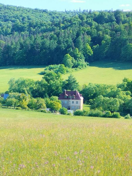 Ponad połowa bezczynsz. kamieniczki z pięknym ogrodem (3mieszkania) - zdjęcie 1