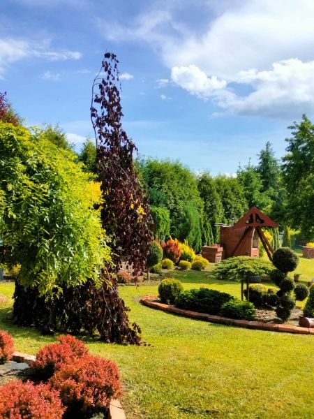 Ponad połowa bezczynsz. kamieniczki z pięknym ogrodem (3mieszkania) - zdjęcie 3