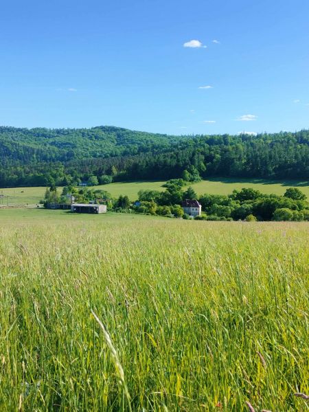 Ponad połowa bezczynsz. kamieniczki z pięknym ogrodem (3mieszkania) - zdjęcie 8