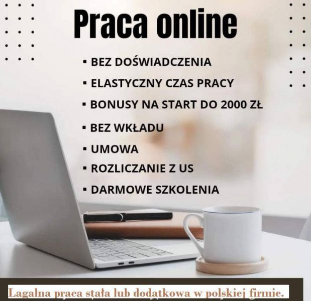 Praca stała lub dodatkowa zdalna, w domu, przez internet - zdjęcie 1