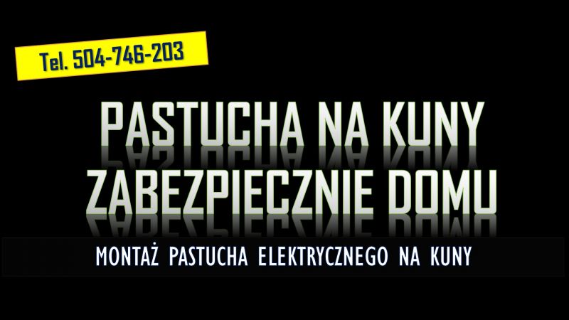 Założenie pastucha na kuny tel.  504-746-203. Zamontowanie na domu  - zdjęcie 4