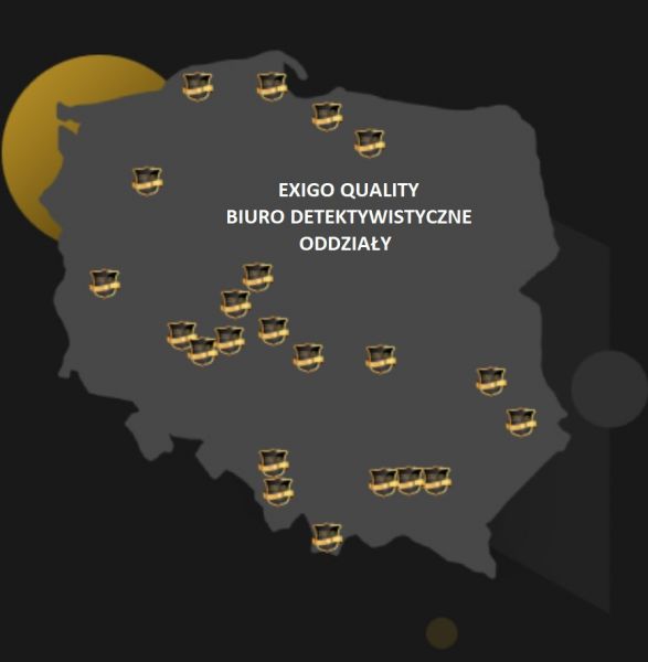 Detektyw/Biuro Detektywistyczne - zdjęcie 1