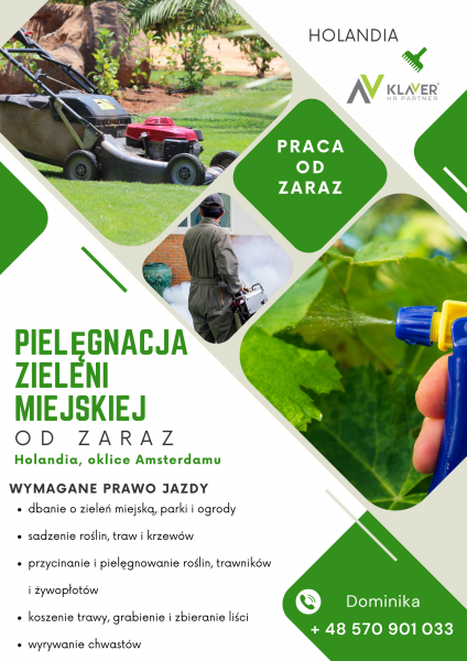 Zieleń miejska- praca w Holandii - zdjęcie 1