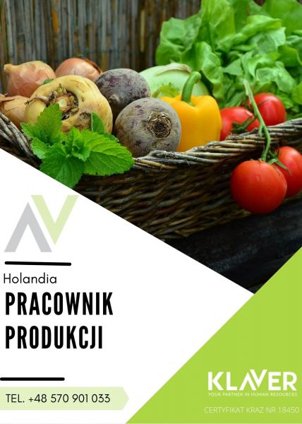 Produkcja sałatek- praca od zaraz- Holandia- Venlo - zdjęcie 1