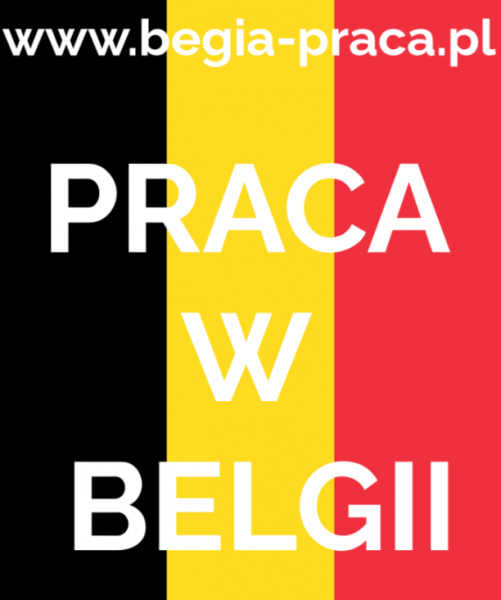 docieplenia i elewacje - Belgia - WYSOKIE ZAROBKI  - zdjęcie 1