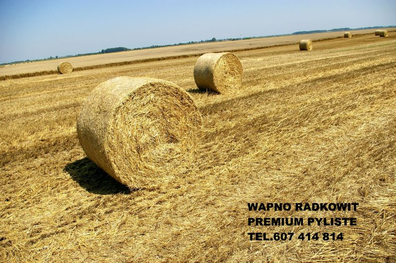 Wapno węglanowo-magnezowe  Radkowit Premium pyliste   - zdjęcie 1