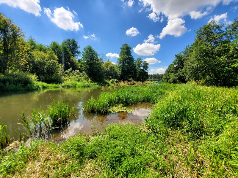 Działka rekreacyjna 30 arów nad rzeką lubaczówka. - zdjęcie 1