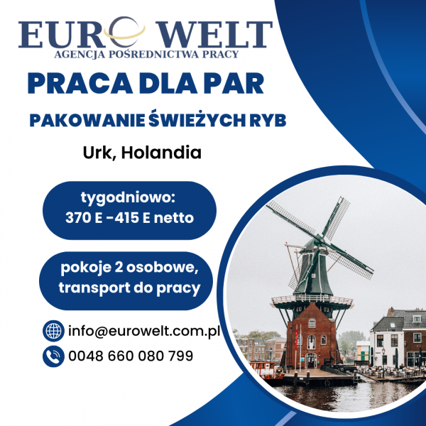 Holandia/ Pakowanie świeżych ryb/ od zaraz - zdjęcie 1