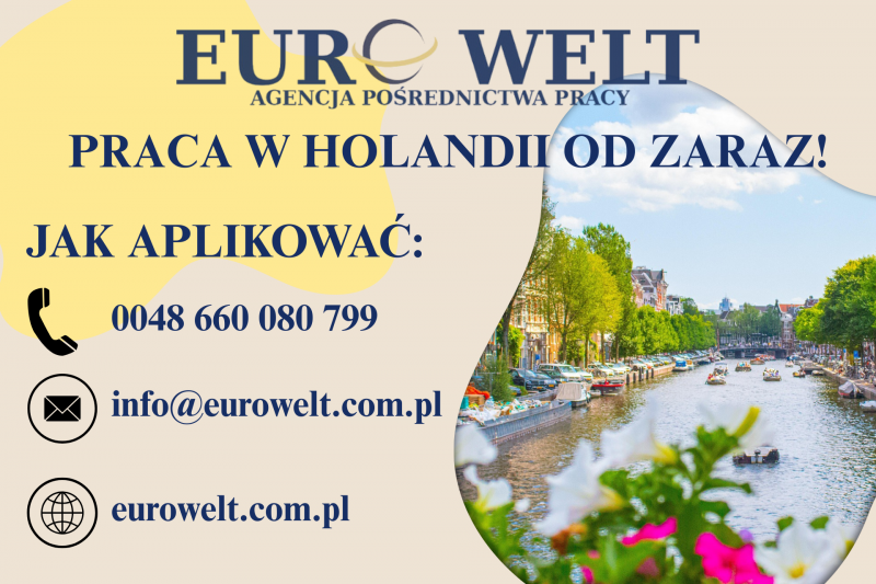 Holandia/ Produkcja sera/ od zaraz - zdjęcie 1