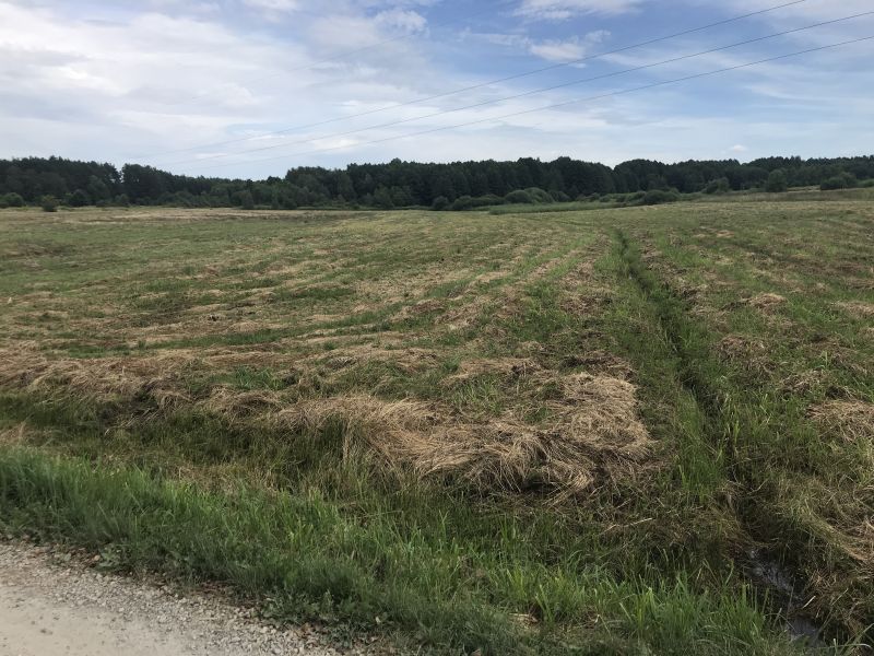 Działka rolno-budowlana Przewrotne, 20km Rzeszów - zdjęcie 1