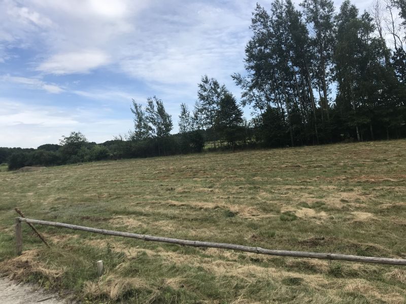 Działka rolno-budowlana Przewrotne, 20km Rzeszów - zdjęcie 2