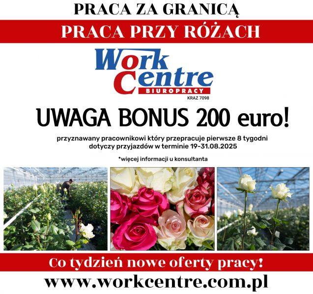 Ścinanie i pielęgnacja róż Oferta pracy w Holandii - zdjęcie 1