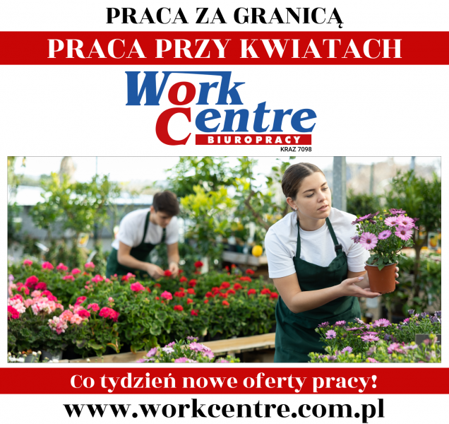 Uprawa i pielęgnacja kwiatów Oferta pracy w Holandii - zdjęcie 1