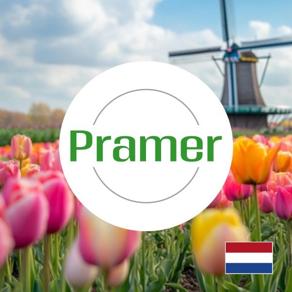 Pracownik produkcji dywanów - €17.22 + dodatki - praca w Holandii - zdjęcie 1