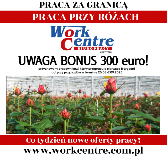 Ścinanie i pielęgnacja róż Oferta pracy w Holandii - BONUS 300€ - zdjęcie 1