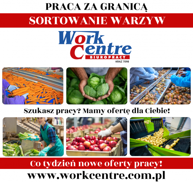 Sortowanie Warzyw Oferta pracy w Holandii - zdjęcie 1