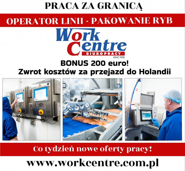 Operator linii - pakowanie ryb Oferta pracy w Holandii 200€ BONUS - zdjęcie 1