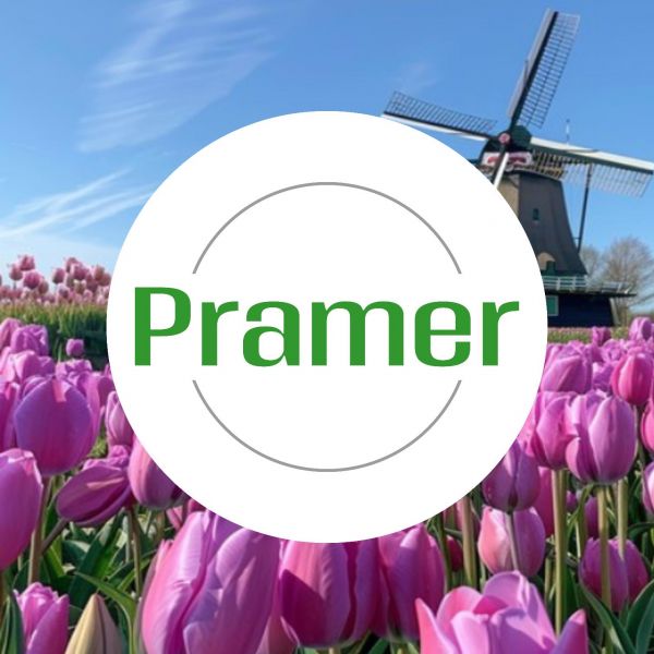 Pracownik produkcji mięsa (IJsselstein) - praca w Holandii - zdjęcie 1
